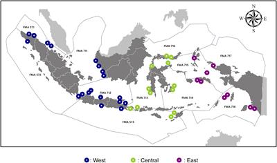 eDNA metabarcoding of decapod crustaceans across Indonesian seas has implications for biodiversity conservation and fisheries sustainability